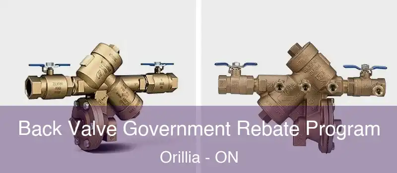  Back Valve Government Rebate Program Orillia - ON