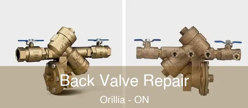  Back Valve Repair Orillia - ON