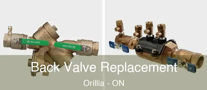  Back Valve Replacement Orillia - ON