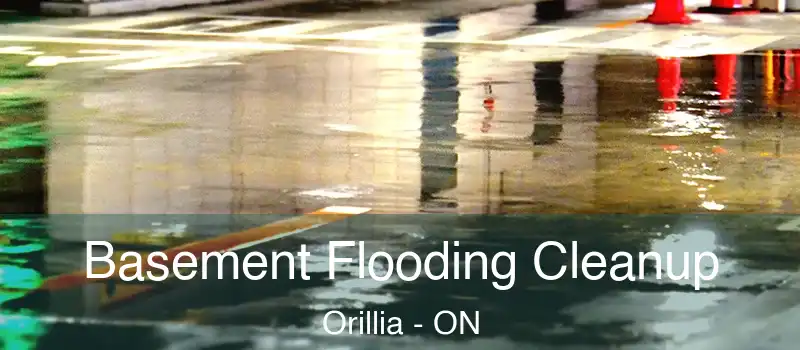  Basement Flooding Cleanup Orillia - ON