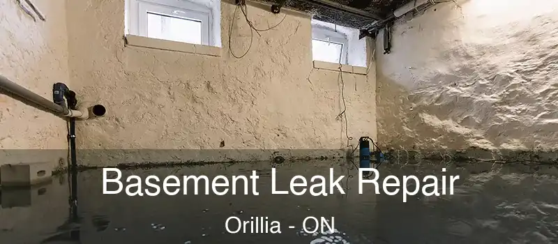  Basement Leak Repair Orillia - ON