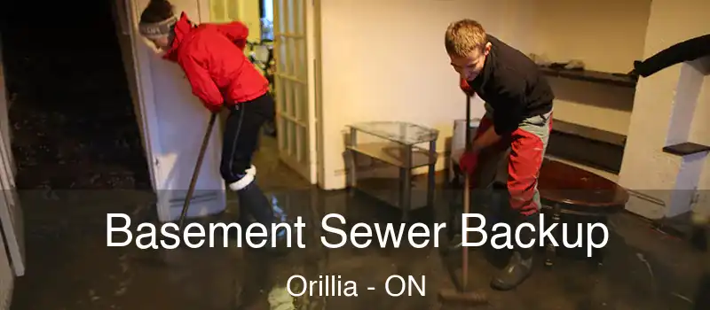 Basement Sewer Backup Orillia - ON