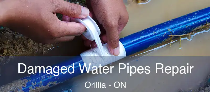  Damaged Water Pipes Repair Orillia - ON