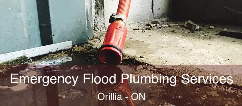  Emergency Flood Plumbing Services Orillia - ON
