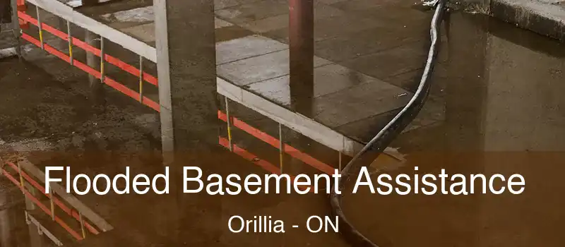  Flooded Basement Assistance Orillia - ON