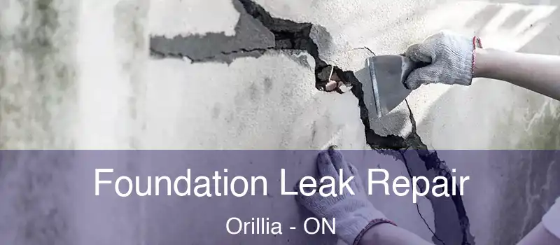  Foundation Leak Repair Orillia - ON