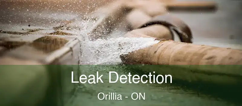  Leak Detection Orillia - ON
