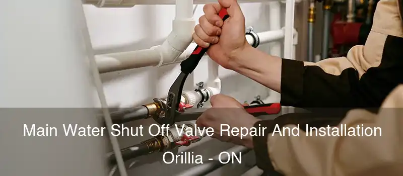  Main Water Shut Off Valve Repair And Installation Orillia - ON