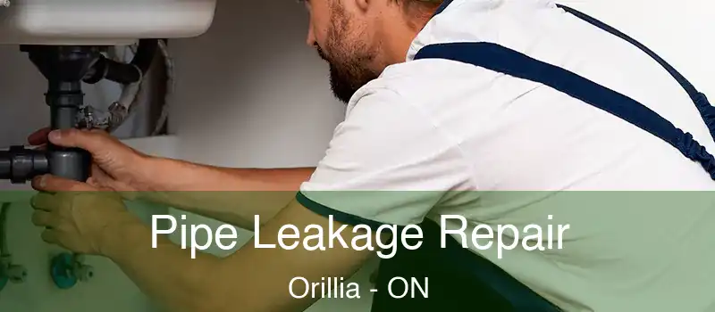  Pipe Leakage Repair Orillia - ON