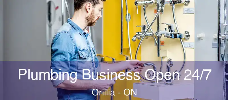  Plumbing Business Open 24/7 Orillia - ON