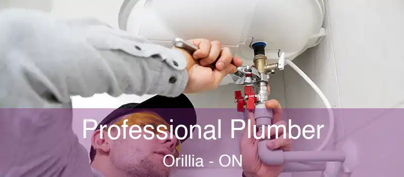  Professional Plumber Orillia - ON