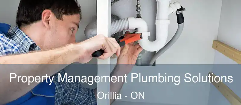  Property Management Plumbing Solutions Orillia - ON