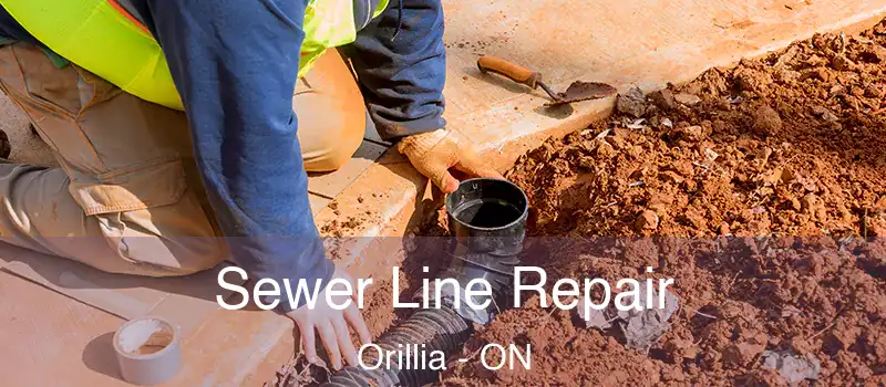  Sewer Line Repair Orillia - ON