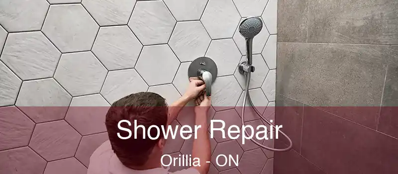  Shower Repair Orillia - ON