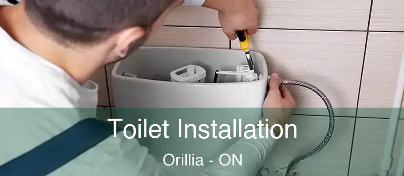  Toilet Installation Orillia - ON