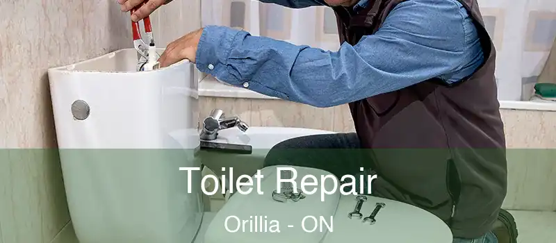  Toilet Repair Orillia - ON