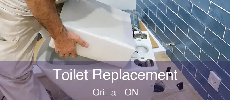  Toilet Replacement Orillia - ON