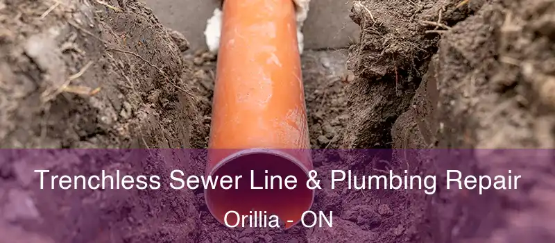  Trenchless Sewer Line & Plumbing Repair Orillia - ON