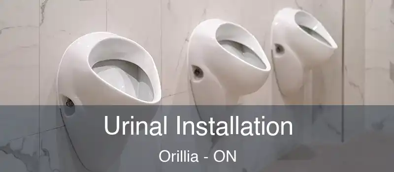  Urinal Installation Orillia - ON
