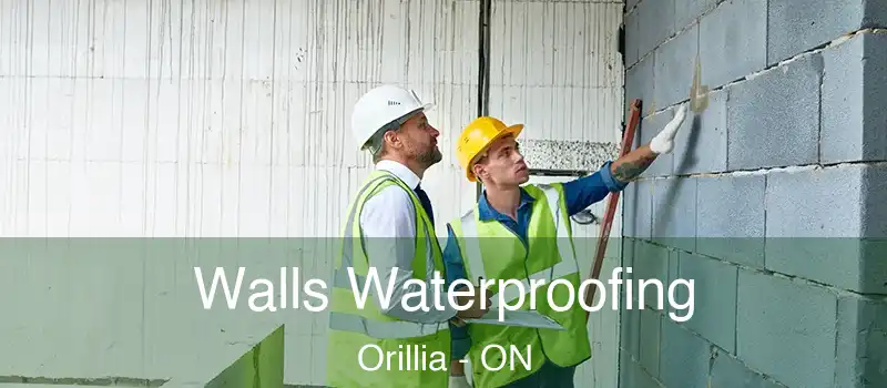  Walls Waterproofing Orillia - ON