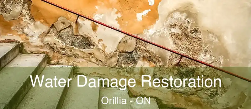  Water Damage Restoration Orillia - ON
