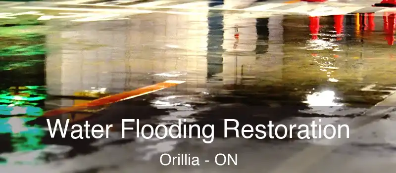  Water Flooding Restoration Orillia - ON