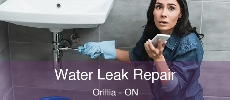  Water Leak Repair Orillia - ON