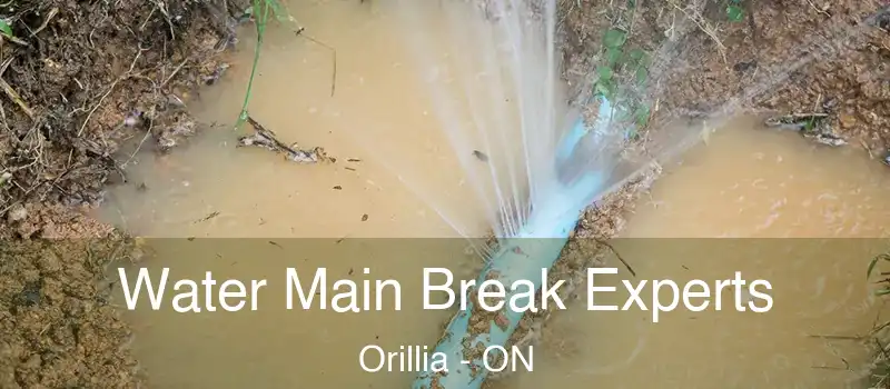  Water Main Break Experts Orillia - ON