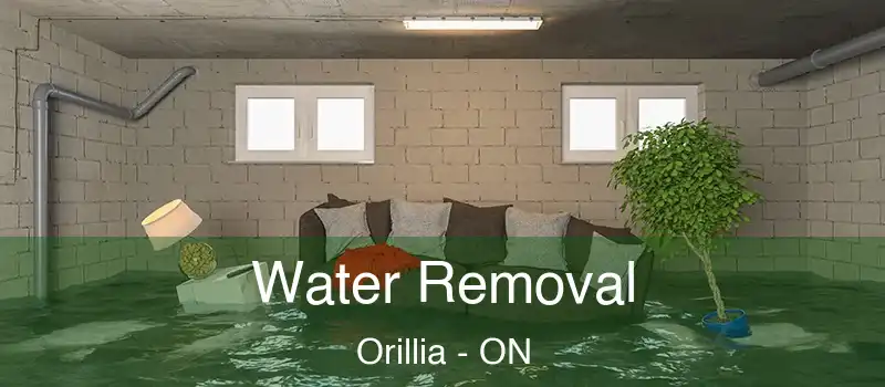  Water Removal Orillia - ON