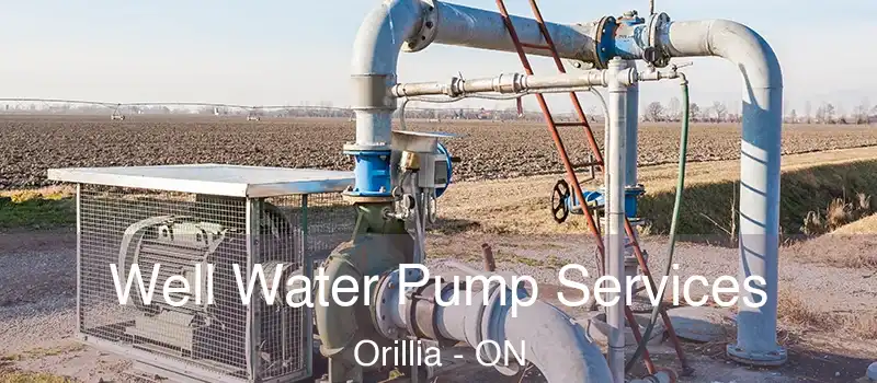  Well Water Pump Services Orillia - ON